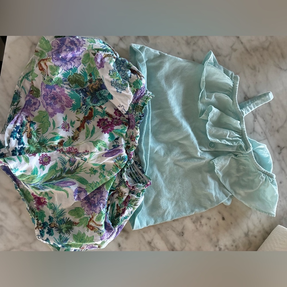 Janie and Jack shorts and top set cotton lined 3T